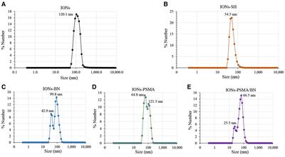 Radiolabeled iron oxide nanoparticles functionalized with PSMA/BN ligands for dual-targeting of prostate cancer